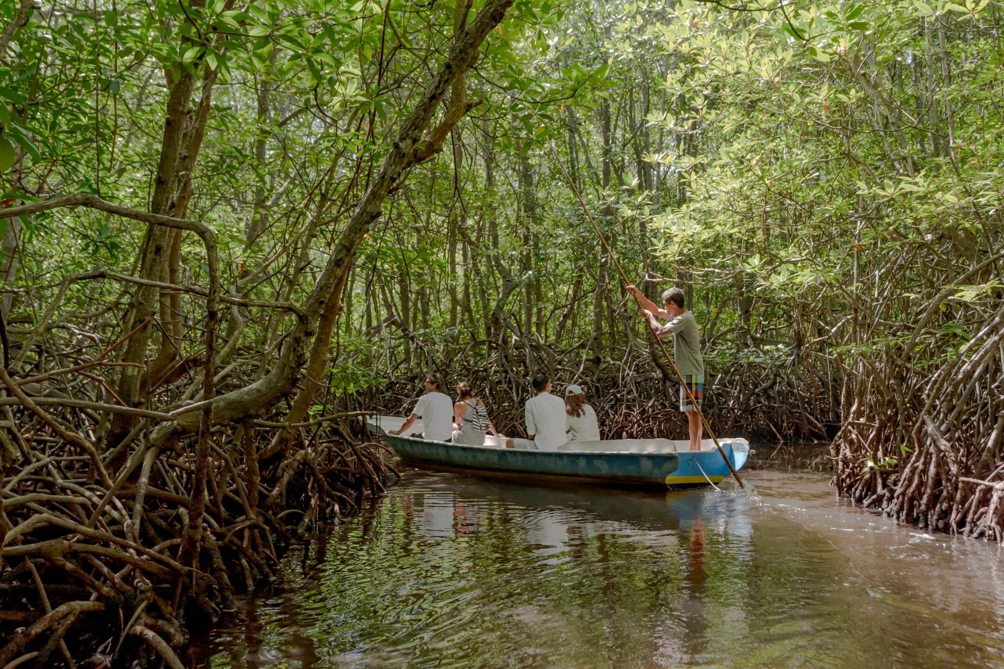 The Mangrove Forest Tour: A Sustainable Way to Explore Lembongan