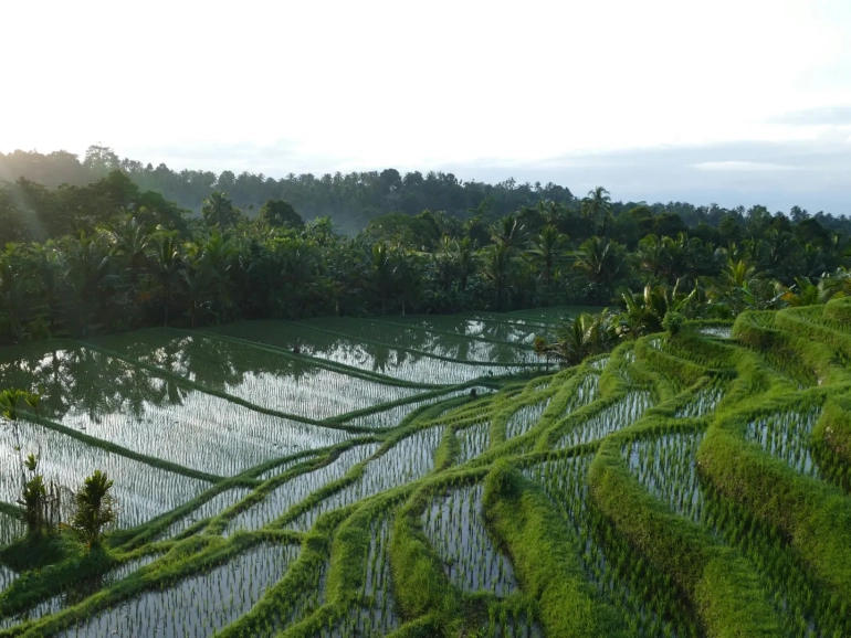 Singaraja - Bali