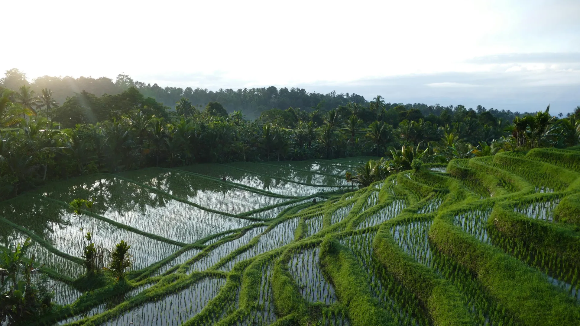 Singaraja - Bali